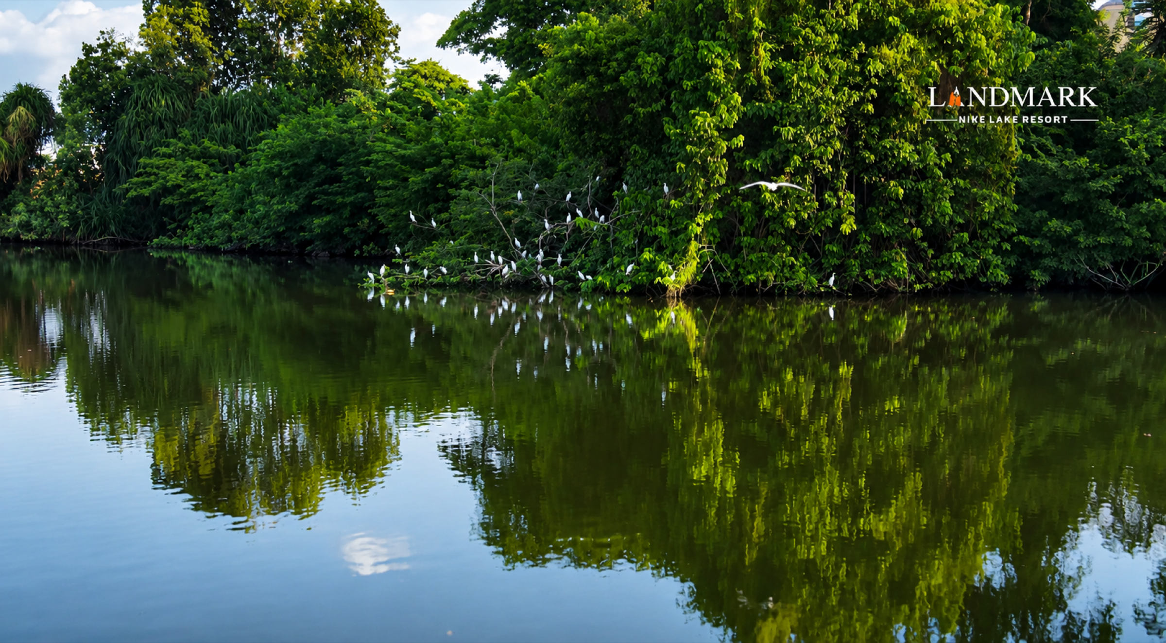 The lake